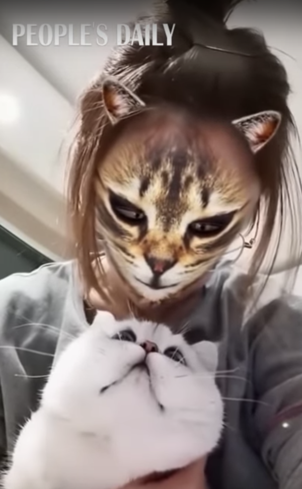 Cat's hilarious reaction to owner using feline face filter is going viral