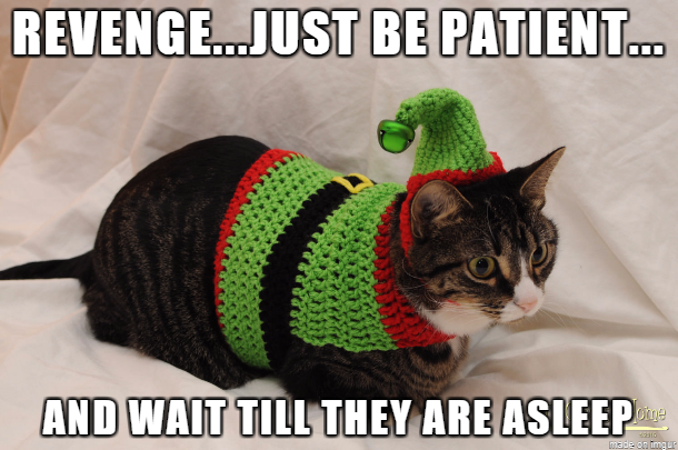 cute christmas cat memes