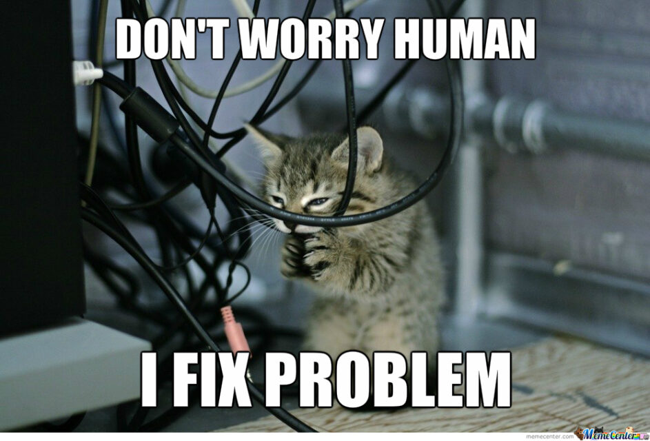 tech support cat meme