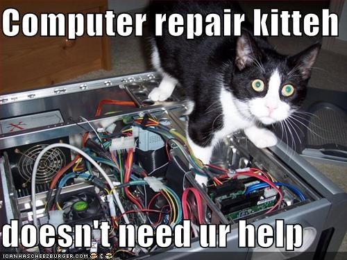 Cat Fixing Computer