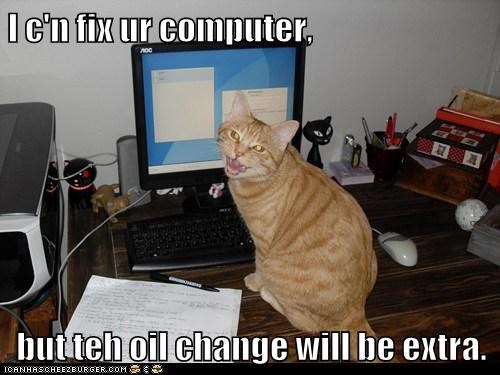 tech support cat meme