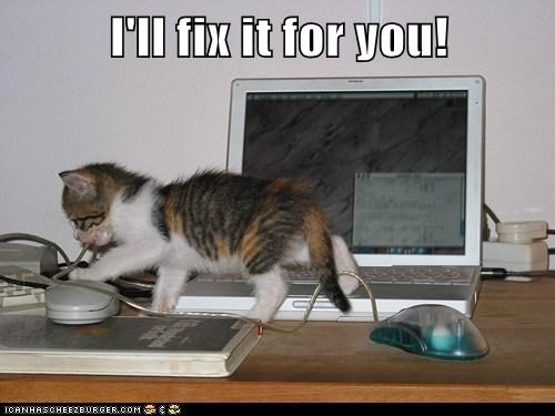 tech support cat meme