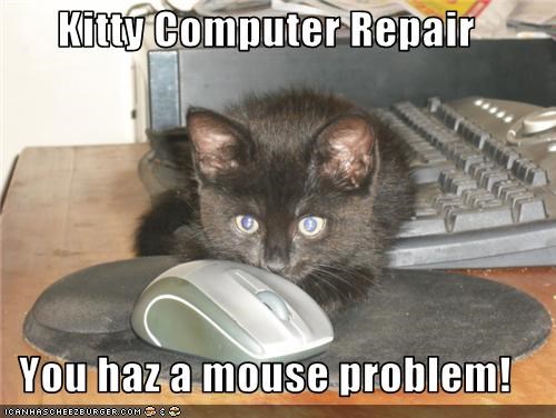 Cat Fixing Computer