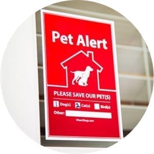 Pet Safety Products