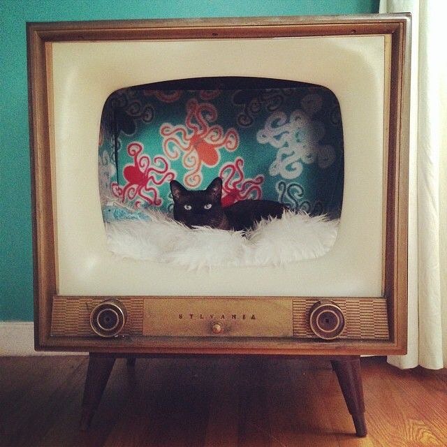 vintage tv cat bed
