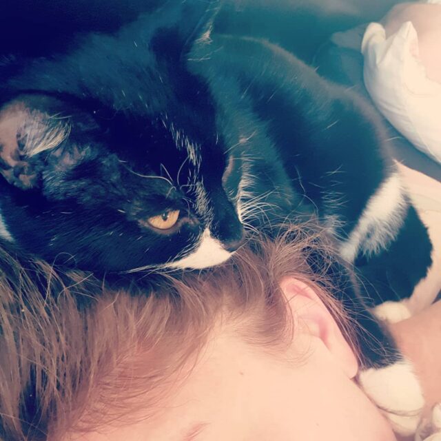cat sleeping on head