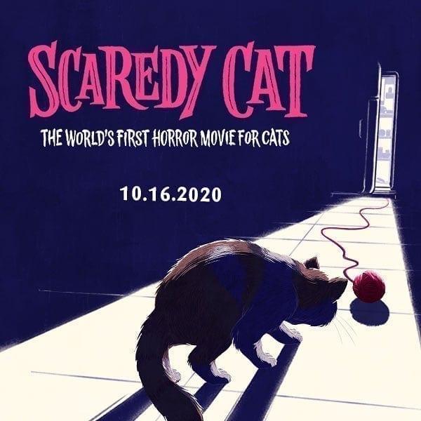 Its almost SCAREDY CATS SEASON! Drop your favorite horror movies in th