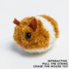 Chubby The Mouse Kitty- Interactive Cat Toy