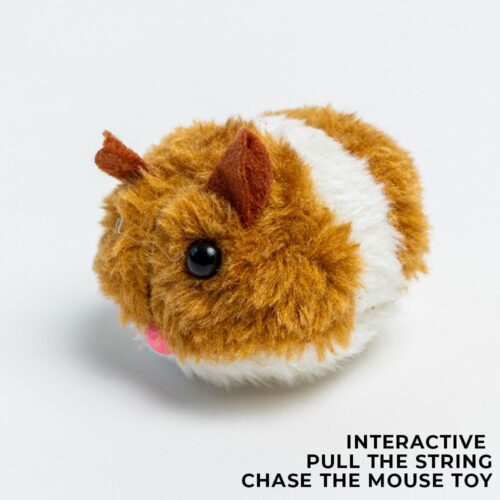 Chubby The Mouse Kitty- Interactive Toy