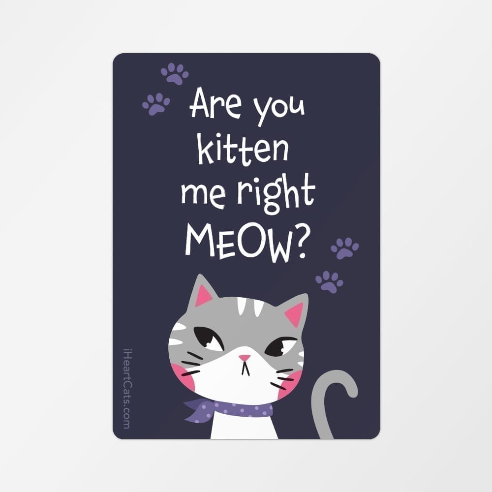 Are You Kitten Me Right Now ? Fridge Magnet - ( Limit 5 Per Customer)