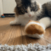 FREE Chubby The Mouse Kitty- Interactive Toy - Image 2