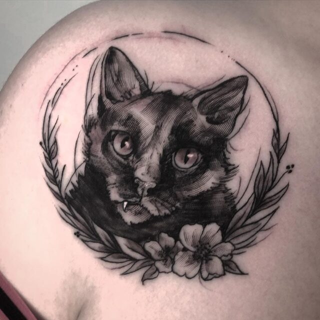 Cats tattoo