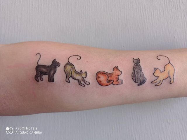 Wicky Nicky on Instagram THREE CATS                           cat cattattoo in 2023  Cat tattoo designs Small  tattoos Fine line tattoos