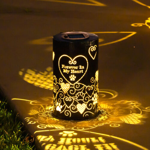 Forever In My Heart- Artisan Shadow Lantern- Deal 25% Off!