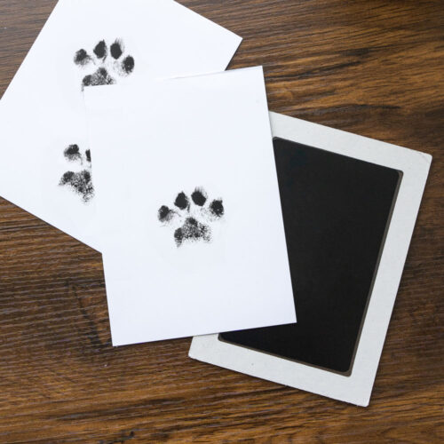 You Leave Paw Prints on My Heart - “No Mess” Ink-less Paw Print Keepsakes- DEAL 50% OFF!