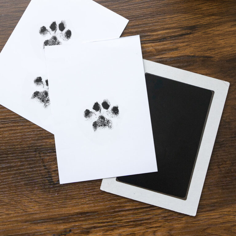 You Leave Paw Prints on My Heart - “No Mess” Ink-less Paw Print Keepsakes