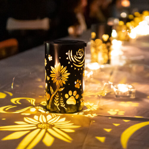 Sunflower and Paws - Artisan Shadow Lantern - Deal 25 % Off