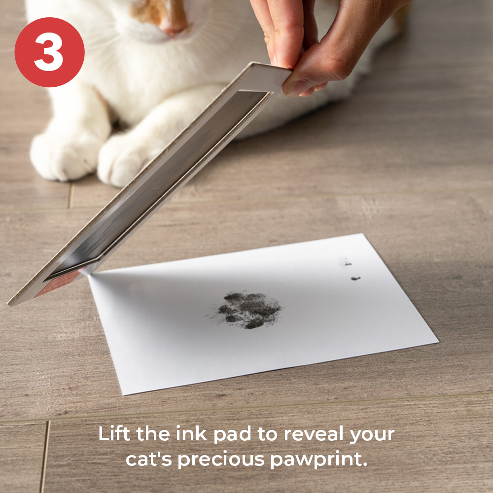 You Leave Paw Prints on My Heart - “No Mess” Ink-less Paw Print Keepsakes -  Limited Time Offer
