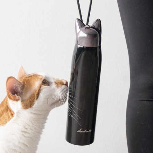 Purrfect Kitty Water Bottle- Stainless Steel