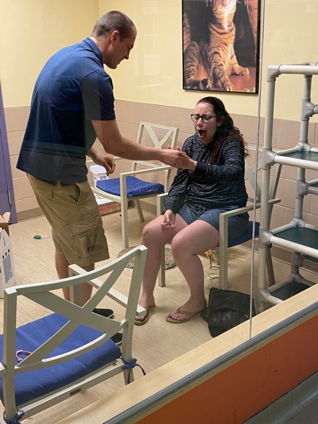 Surprise engagement at rescue