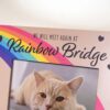Free! Meet Me At The Rainbow Bridge – Memorial Frame - Image 3
