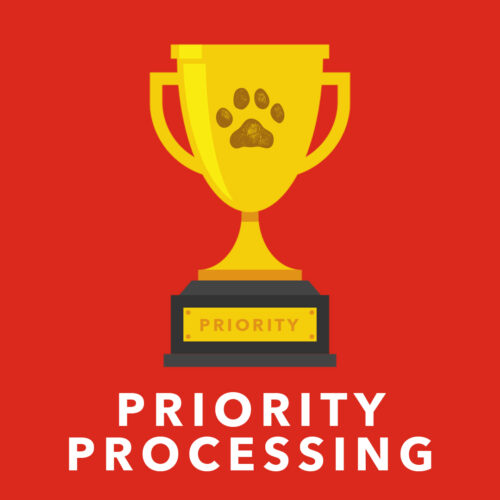 First in Line Priority Processing