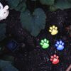 Second Chance Movement™ Path To My Heart -Color Changing Paw Prints Solar Garden Lights - Deal 25% OFF! - Image 5