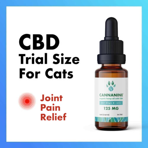 Special Offer! Cannanine™ Ultra-Premium Broad Spectrum CBD Oil from Hemp For Joint Pain (125mg) – Trial Size