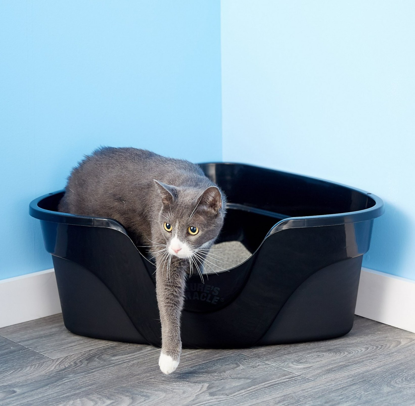 Nature's Miracle High Sided Corner Cat Litter Box