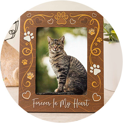 Cat Photo Frames & Wall Decorations Products