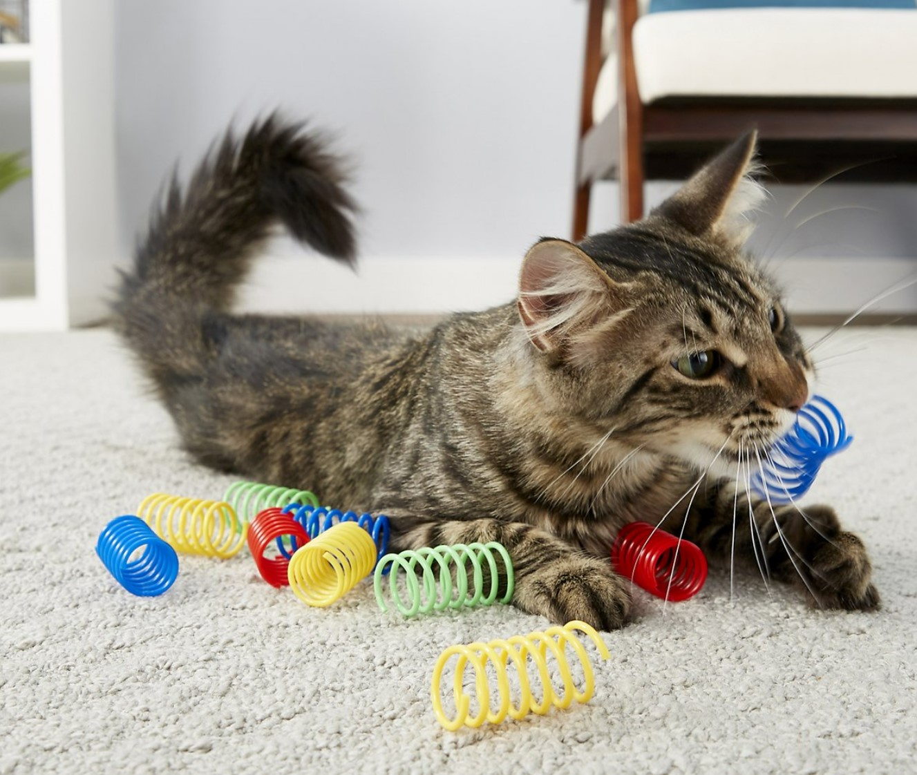 Frisco Colorful Springs Cat Toys