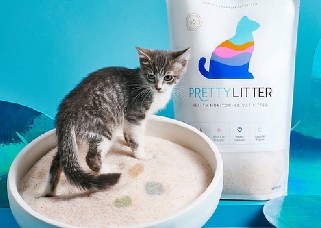 PrettyLitter