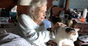 Elderly woman adopts senior cat