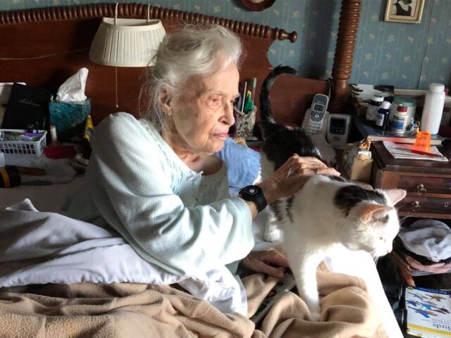 Elderly woman with cat