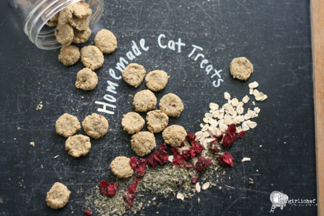 homemade cat treats