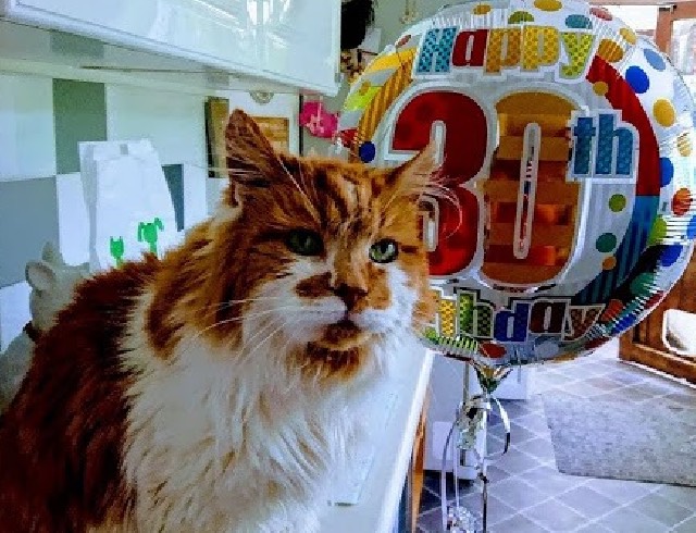 Rubble with balloon