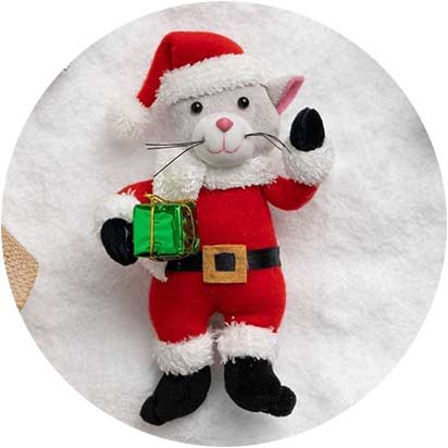 Heart Of Gold Cat Christmas Ornaments Products