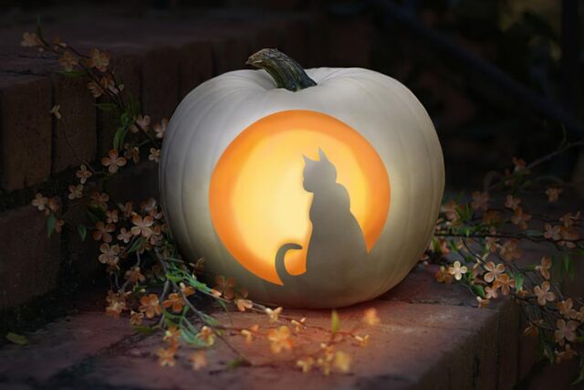 easy cat pumpkin carvings