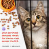 All Paws Matter – Every Cat Matters Necklace❤️ - Image 4