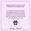Forever In My Heart Memorial Cat Urn Necklace – Cherished Memorial Keepsake - Image 8