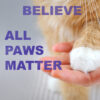 All Paws Matter – Every Cat Matters Necklace❤️ - Image 3