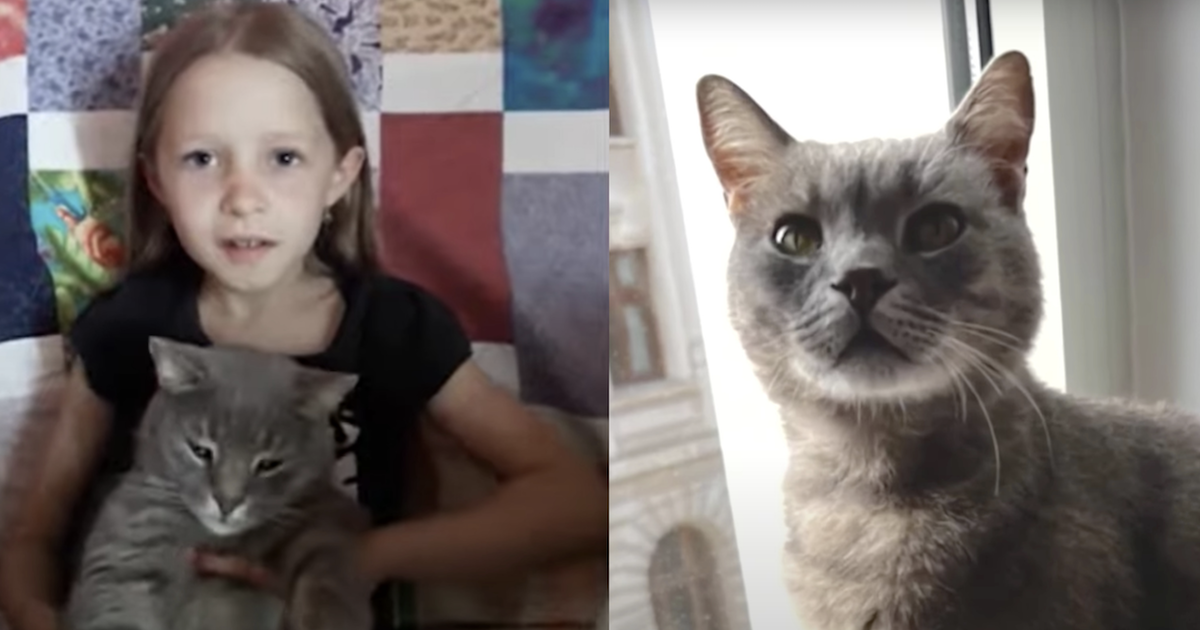 Ukraine girl and cat reunited