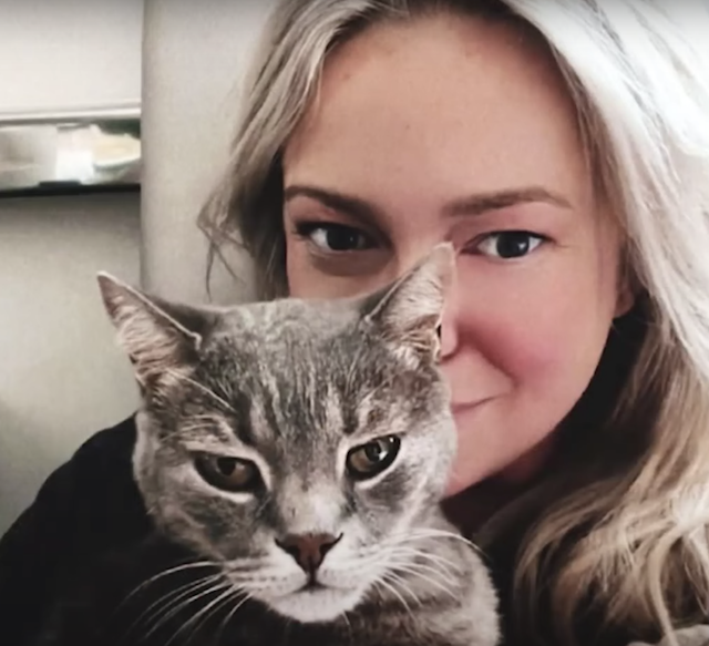 Volunteer holding cat