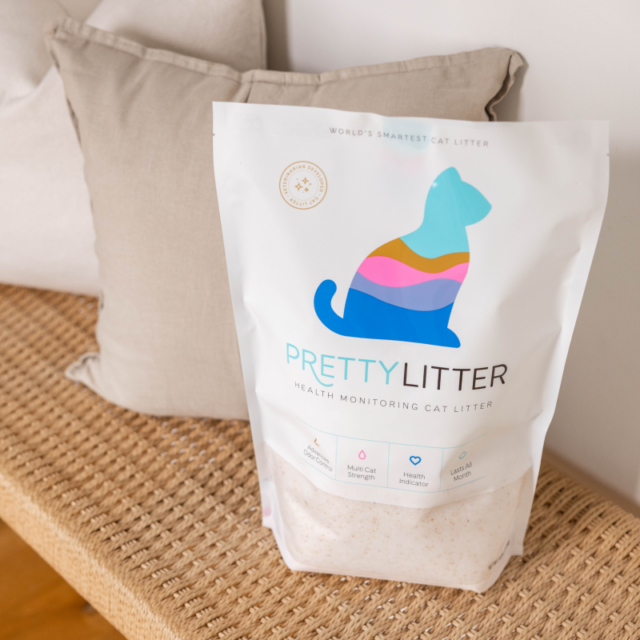 Let These Cat Parents Tell You Why They Love PrettyLitter