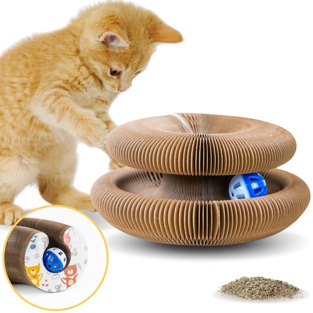 Magical Organ Cat Scratching Board Toy- Fun, Interactive, Cat Clawing, Folding & Recyclable with Toy Bell Ball- Deal 50% OFF