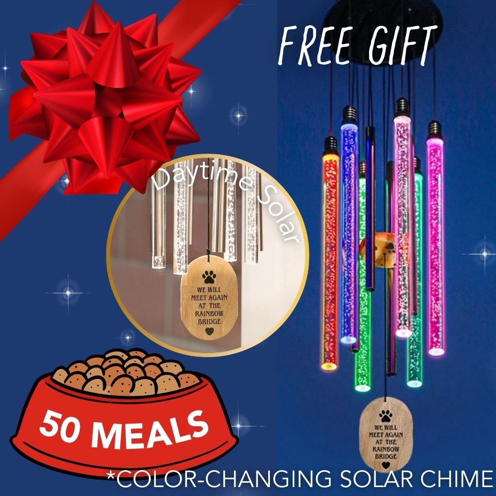 Feed 50 Shelter Cats for $35 and Receive a Rainbow Bridge Forever In My Heart Color Changing -Cat Solar Chime with Gift Box