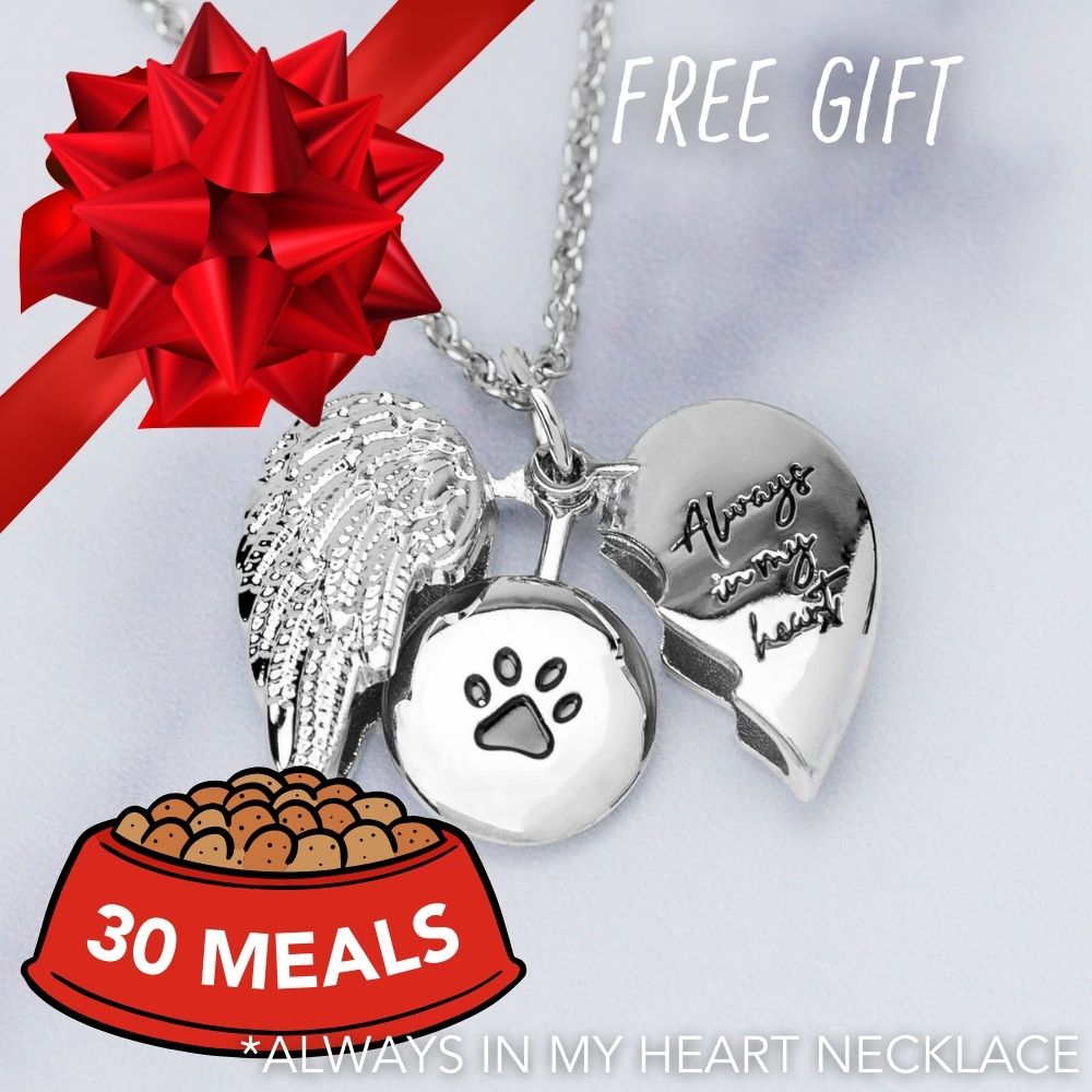 Feed 30 Shelter Cats for $15 and Receive a Always In My Heart With Open Wings Cat Memorial Necklace