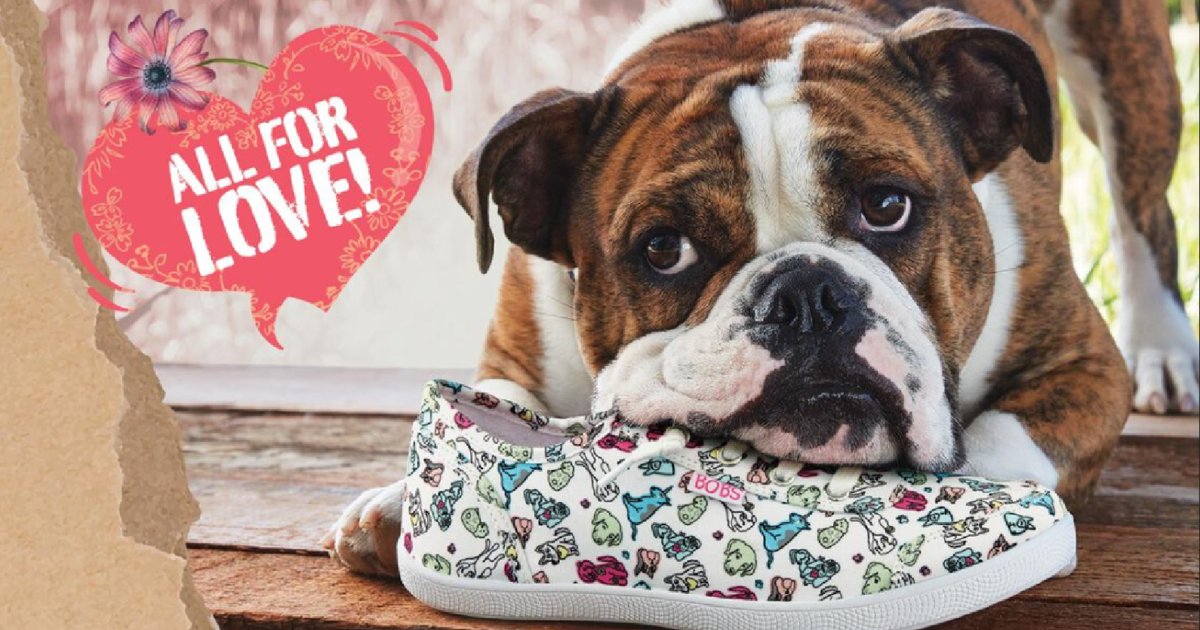 Skechers cheap bobs bulldog