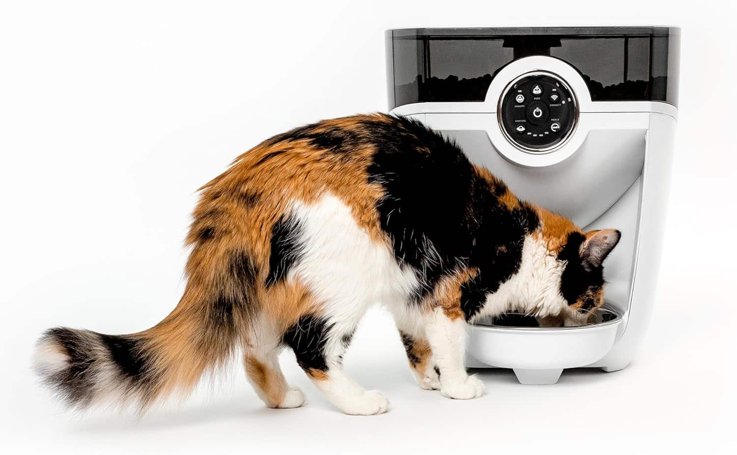 Whisker Feeder-Robot Automatic Pet Feeder