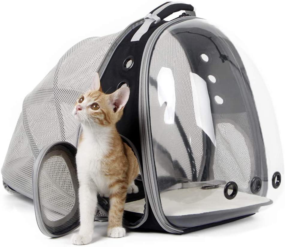 6. Halinfer Back Expandable Cat Backpack Carrier